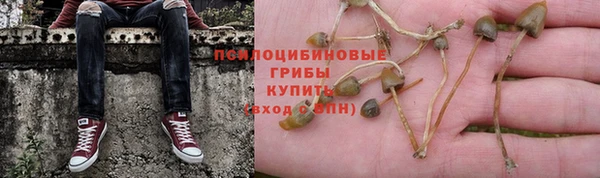 наркотики Зерноград