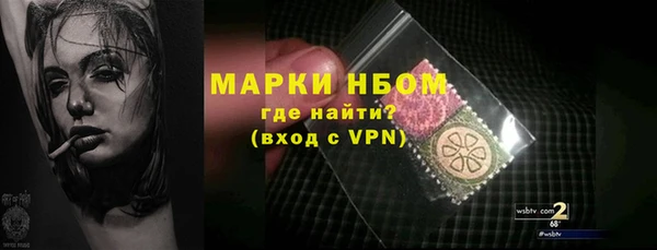 ГАЛЛЮЦИНОГЕННЫЕ ГРИБЫ Зеленодольск