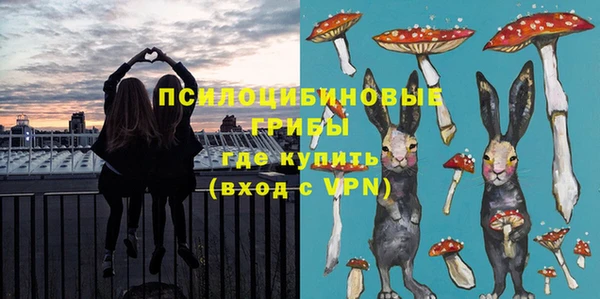 ГАЛЛЮЦИНОГЕННЫЕ ГРИБЫ Зеленодольск